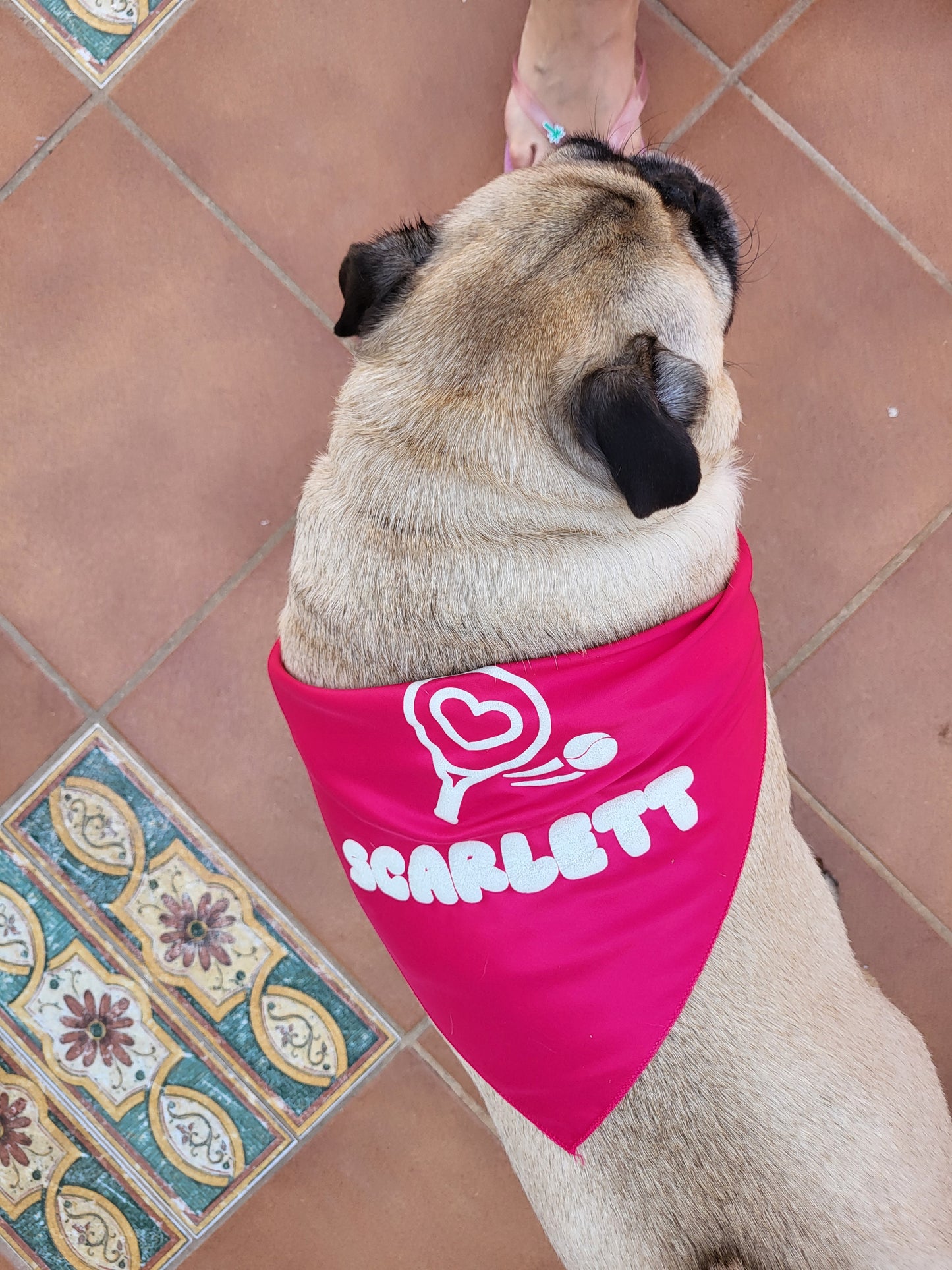 Dog Bandana - Glow in the Dark 3D letters - Personalize your Dog's Name