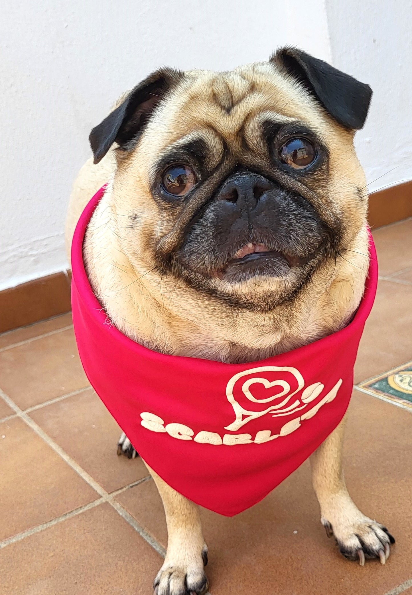 Dog Bandana - Glow in the Dark 3D letters - Personalize your Dog's Name